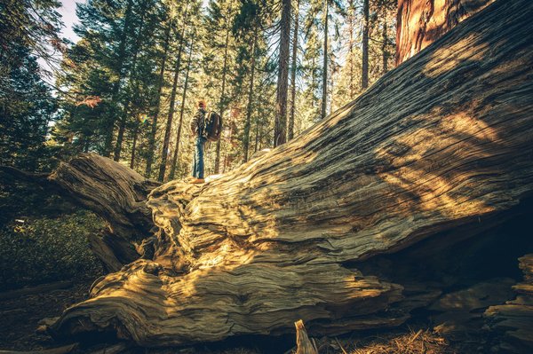 Quels sont les meilleurs circuits de vélo pour explorer les châteaux du Pays de la Loire, France ?